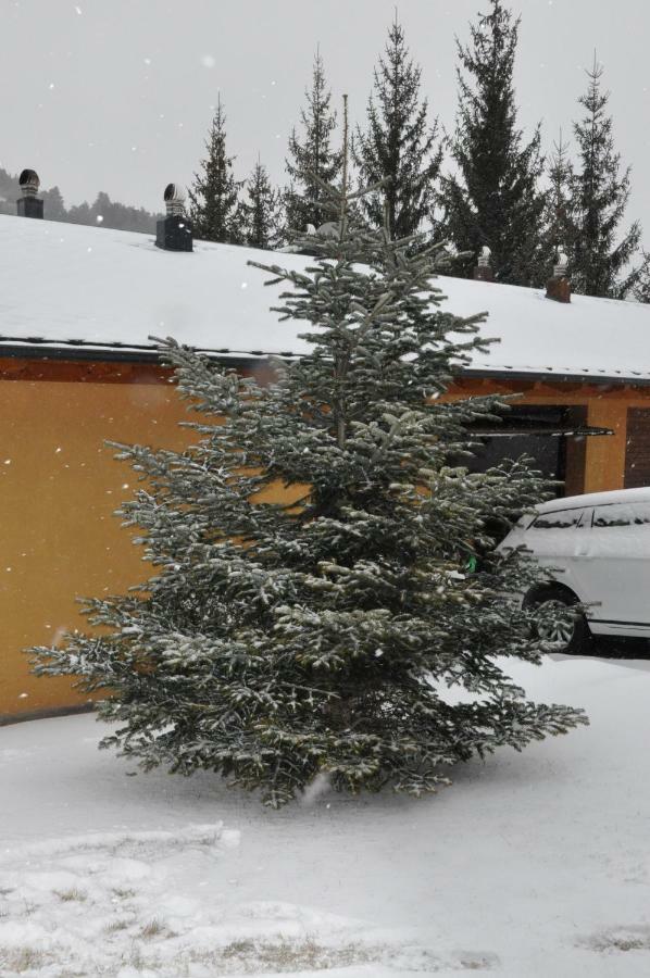 Casa En La Molina Villa La Molina  Bagian luar foto